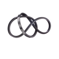 V Belt RIDEX 10C0041 OE Ref 60534452