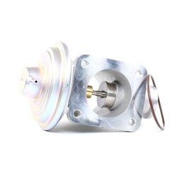 EGR Valve RIDEX 1145E0231 OE Ref 11717804378