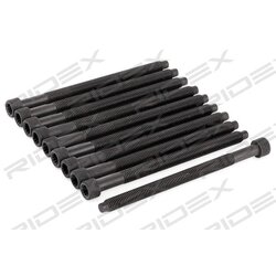 Bolt Set RIDEX 1217B0007 OE Ref 038103384 (x10)