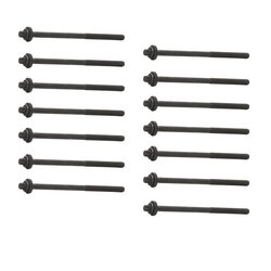 Bolt Set RIDEX 1217B0060 OE Ref 11127798532 (x14)