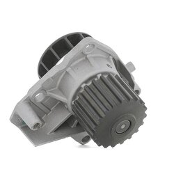 Pompe à eau de refroidissement moteur RIDEX 1260W0449 pour PIAGGIO, DAIHATSU 493169