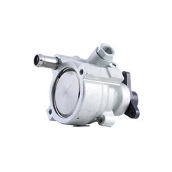 Power Steering Pump RIDEX 12H0315 OE Ref 491100920R