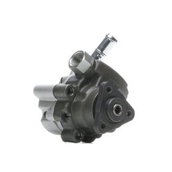 Power Steering Pump RIDEX 12H0329 OE Ref 56100-P9M-G00