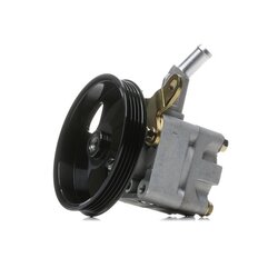 Power Steering Pump RIDEX 12H0331 OE Ref 491109F600