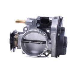 Throttle Body RIDEX 158T0119 OE Ref 021 133 066