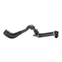 Tuyau de reniflard de carter - RIDEX 1600H0016