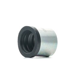 Ventilation Hose RIDEX 1600H16000015 OE Ref 8653339