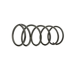 Coil Spring RIDEX 188C0018 OE Ref 1069016