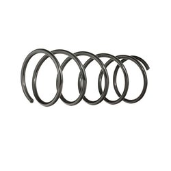 Coil Spring RIDEX 188C0101 OE Ref 1 067 309