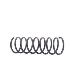 Coil Spring RIDEX 188C0105 OE Ref 1041537