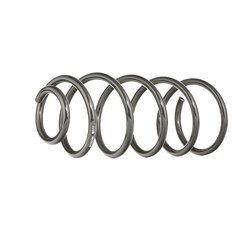 Coil Spring RIDEX 188C0160 OE Ref 1H0 411 105 D