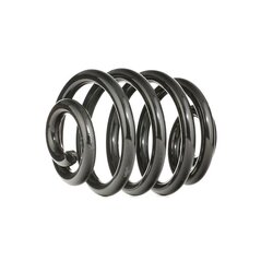 Coil Spring RIDEX 188C0171 OE Ref 701 511 105 B