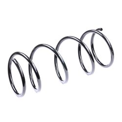 Coil Spring RIDEX 188C0189 OE Ref 1 121 912
