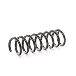 Coil Spring RIDEX 188C0207 OE Ref A 210 321 12 04