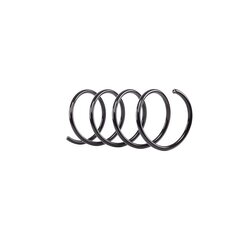 Coil Spring RIDEX 188C0440 OE Ref A 203 321 42 04