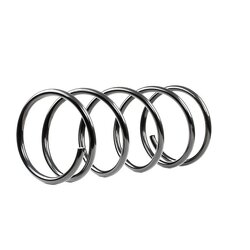 Coil Spring RIDEX 188C0546 OE Ref 5002 T1