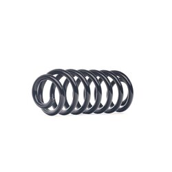 Coil Spring RIDEX 188C0793 OE Ref 33 53 1 096 302