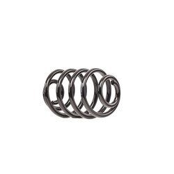 Coil Spring RIDEX 188C0970 OE Ref 77 00 839 338