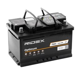 Battery RIDEX 1S0039 OE Ref 61212158640