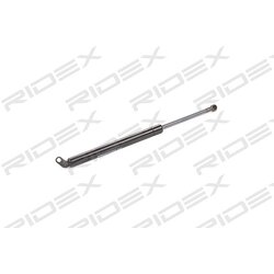 Vérin de hayon RIDEX 219G0033 pour BMW Série 5 RIDEX