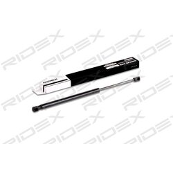 Vérin de hayon RIDEX 219G0197 pour CITROËN C3 8731.G3 RIDEX