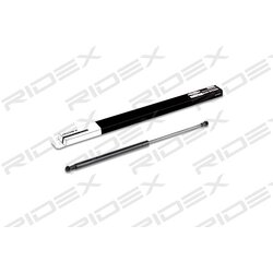 Tailgate Strut RIDEX 219G0253 OE Ref 844300001R