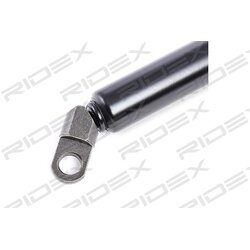 Vérin de hayon RIDEX 219G0436 pour BMW Série 5 RIDEX