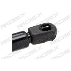 Vérin de hayon RIDEX 219G0503 pour AUDI TT 8N7827552B RIDEX