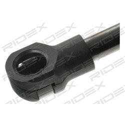 Vérin de hayon RIDEX 219G0692 pour AUDI A3 8P7827552 RIDEX