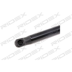 Vérin de hayon RIDEX 219G0756 pour CITROËN C3 7000510368C0 RIDEX