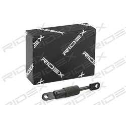 Vérin de hayon RIDEX 219G0857 pour AUDI CABRIOLET RIDEX