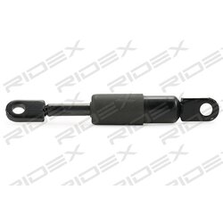 Vérin de hayon RIDEX 219G0857 pour AUDI CABRIOLET RIDEX