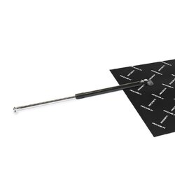 Tailgate Strut RIDEX 219G0982 OE Ref 6895069056