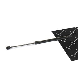 Rear Window Gas Spring RIDEX 219G1071 OE Ref 55360171AB