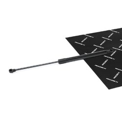 Tailgate Strut RIDEX 219G1097 OE Ref 68960-09100