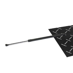 Tailgate Strut RIDEX 219G1104 OE Ref 904510002R