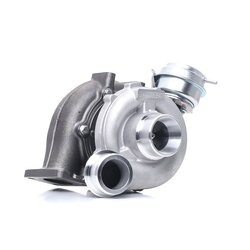 Turbocharger RIDEX 2234C0047 OE Ref 059145701CV