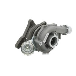 Turbocharger RIDEX 2234C0220 OE Ref 4406494