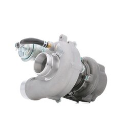 Turbocharger RIDEX 2234C0291 OE Ref 504136785