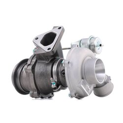 Turbocharger RIDEX 2234C10612 OE Ref 646096029980