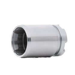 Brake Caliper Piston RIDEX 2248P0039 OE Ref 43215SH3931