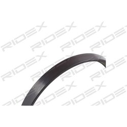 ABS Sensor Ring RIDEX 2254S0025 OE Ref 4549.23 RIDEX