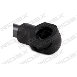 Vérin à gaz de lunette arrière RIDEX 2454G0021 pour RENAULT SCENIC RIDEX