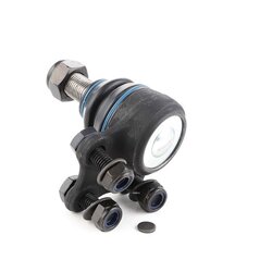 Ball Joint RIDEX 2462S0020 OE Ref 54502-00QAA