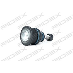 Rotule RIDEX 2462S0094 pour RENAULT 545041876R RIDEX
