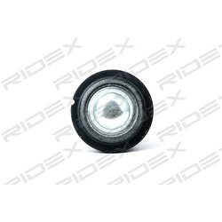 Rotule RIDEX 2462S0094 pour RENAULT 545041876R RIDEX
