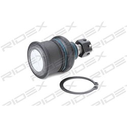 Rotule RIDEX 2462S0241 pour ROVER, HONDA, ACURA 51220-SD4-000 RIDEX