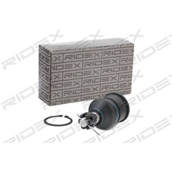 Rotule RIDEX 2462S0241 pour ROVER, HONDA, ACURA 51220-SD4-000 RIDEX