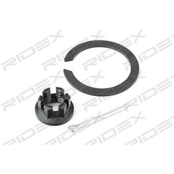 Rotule RIDEX 2462S0296 pour TOYOTA, LEXUS 43310-60010 RIDEX