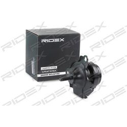Support moteur RIDEX 247E0356 pour HONDA 50821-S6M-013 RIDEX